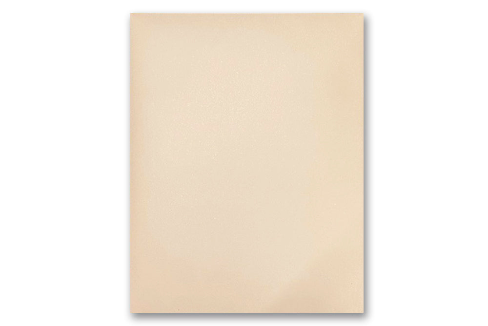14" x 11" Inch Catalog Envelope Pack of 10 Envelope ME-281