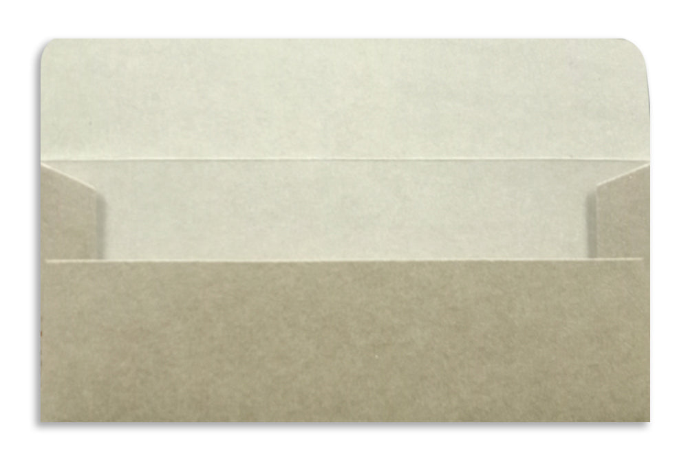 Metallic Gift Envelope Size : 6.25 x 2.75 Inches Pack of 10 Envelope ME-00655