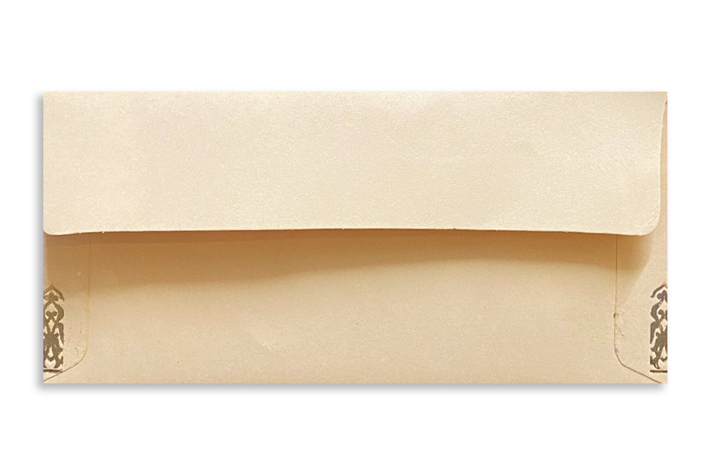 Pastel Colour Gold Foil Border Gift Envelope Size : 7x3.25 Inches Pack of 25 Envelope ME-00664