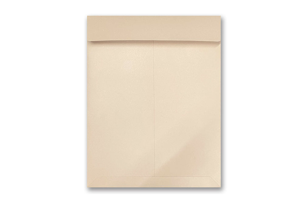 12" x 10" Inch Catalog Envelope Pack of 10 Envelope ME-280