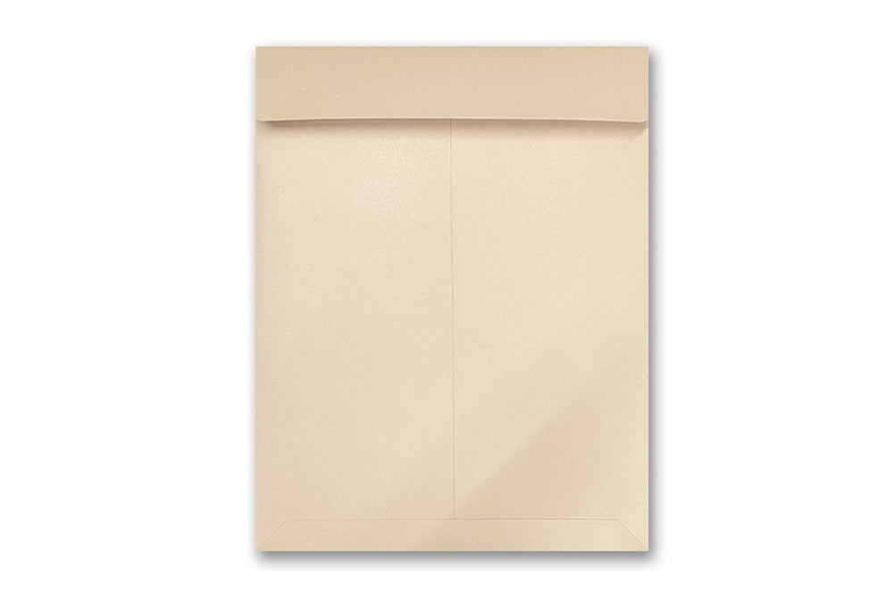 12" x 10" Inch Catalog Envelope Pack of 10 Envelope ME280 Mehta